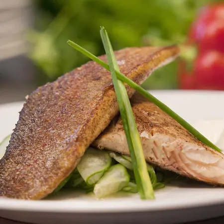 Solvgarden 캠프장